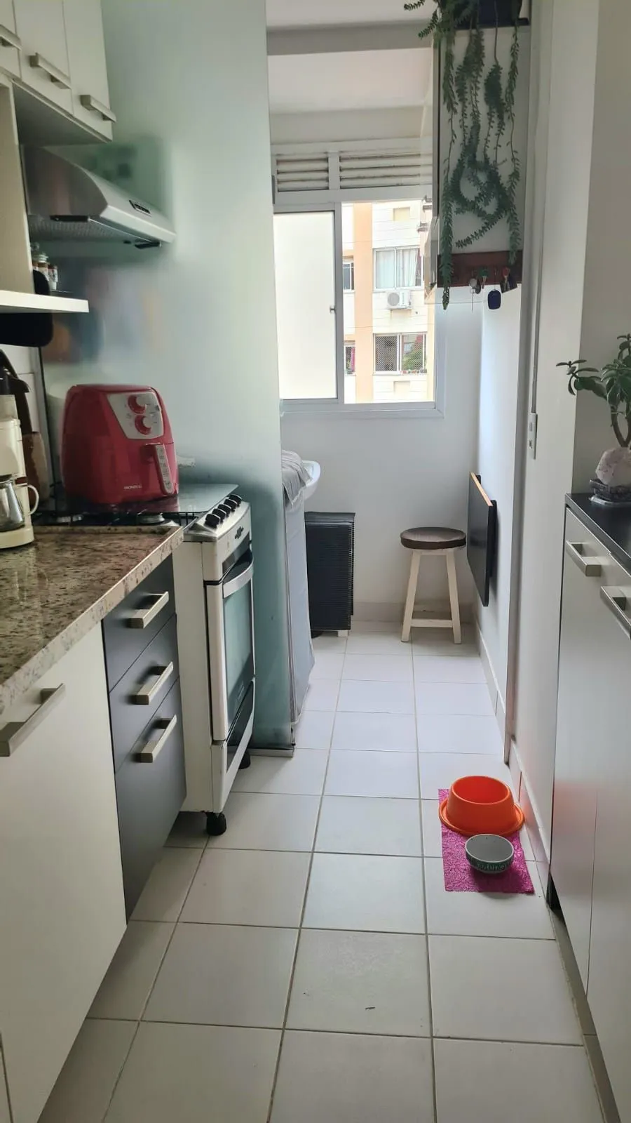 Imagem Apartamento 2 Dormitórios Jardim Carvalho