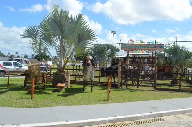 Imagem Terreno à Venda, 382 m² em Aruana - Aracaju
