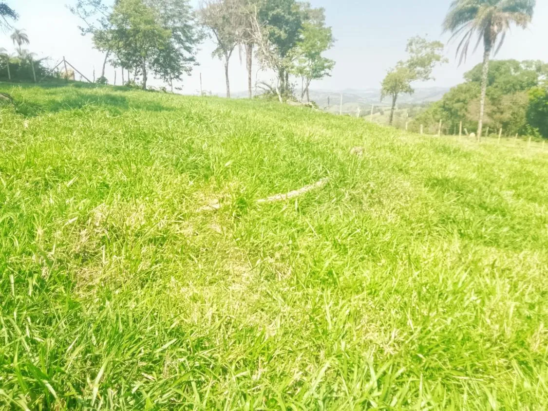 Imagem TERRENO À VENDA EM RIO MANSO/MG | 11,7 HECTARES