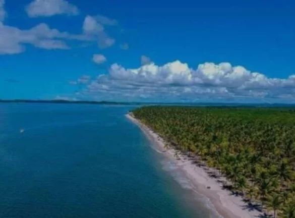 Foto do imóvel ÁREA FRENTE MAR - ILHA CONTRATO