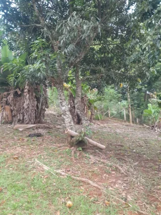 Imagem Chácara à Venda no Bairro do Oratório – Socorro/SP