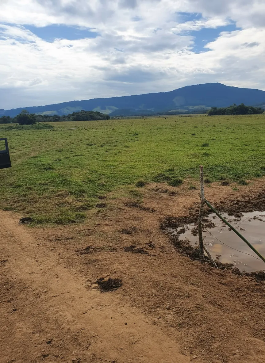 Imagem Fazenda 338,8 ha à venda em Itacolomi, Ipuiúna