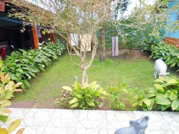 Imagem CASA COM BELO POMAR E EDÍCULA