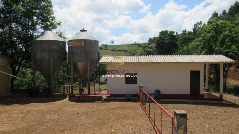 Imagem Área Agrícola para Venda em Lindóia do Sul, Interior