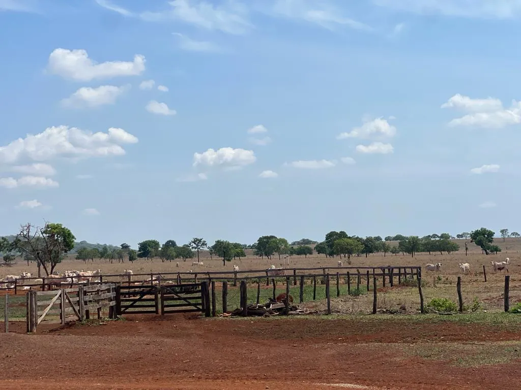 Imagem FAZENDA À VENDA - REGIÃO DE UNAÍ (MG) 1.400 hectares de terra