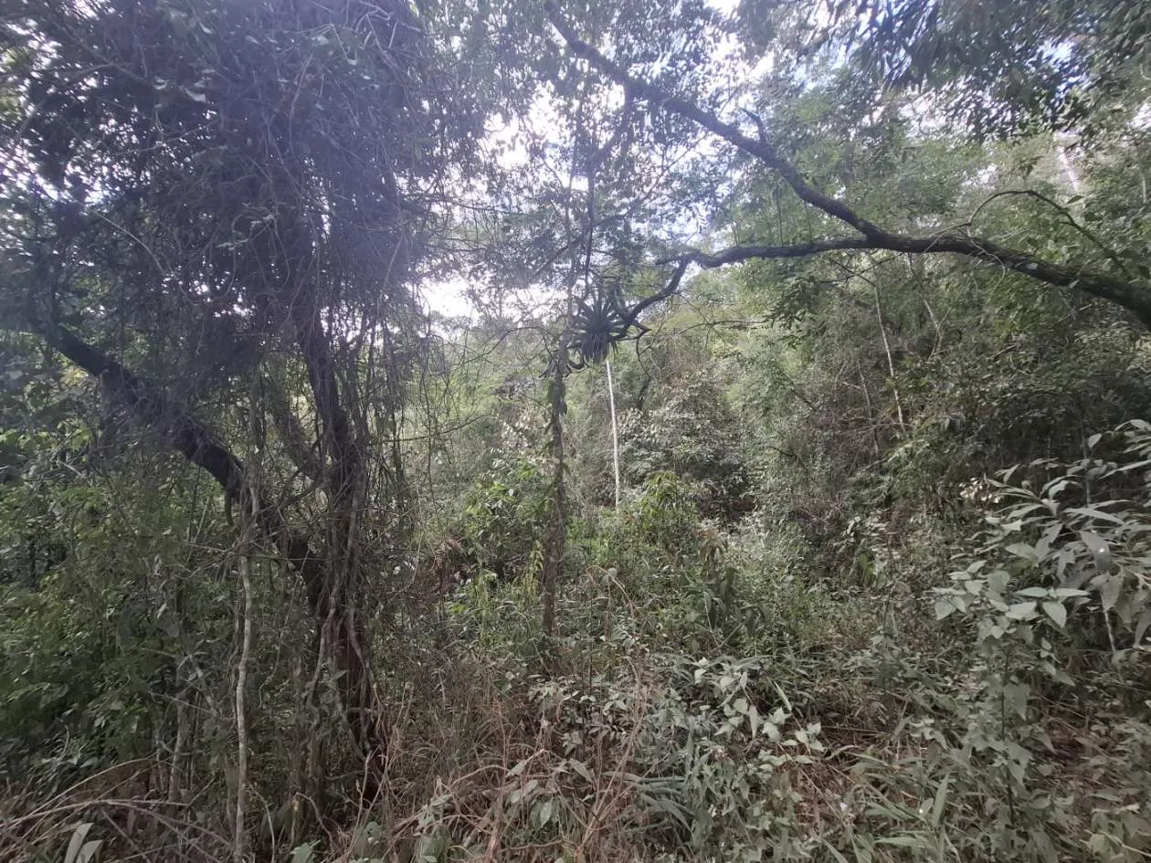 Imagem Terreno para Venda em Teresópolis / RJ no bairro Fazenda Suiça