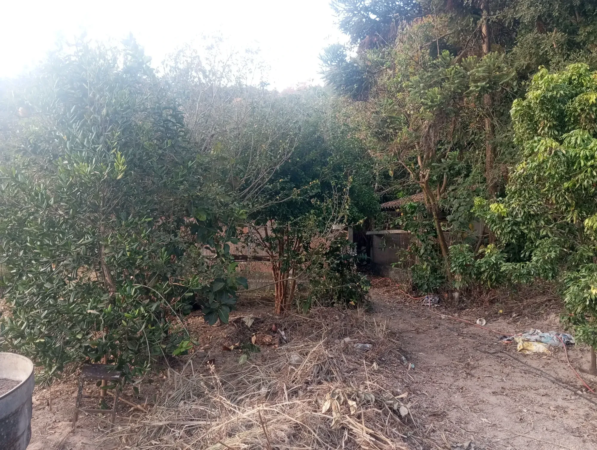 Imagem Chácara com 5 Quartos à Venda, 8.000 m² em Ravenópolis (Ravena) - Sabará