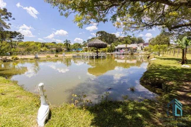 Imagem (PERMUTA) Chácara, com tanque de peixe, de várias espécies, duas casas, próximo ao centro de Contenda PR