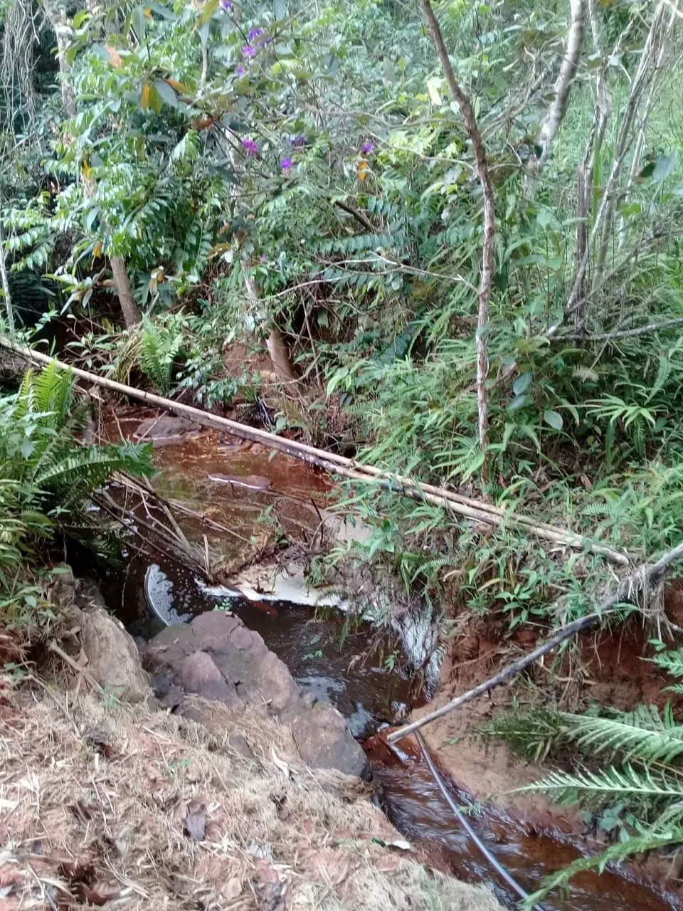 Imagem Chácara à venda 20000M², Mandú, Pindamonhangaba - SP