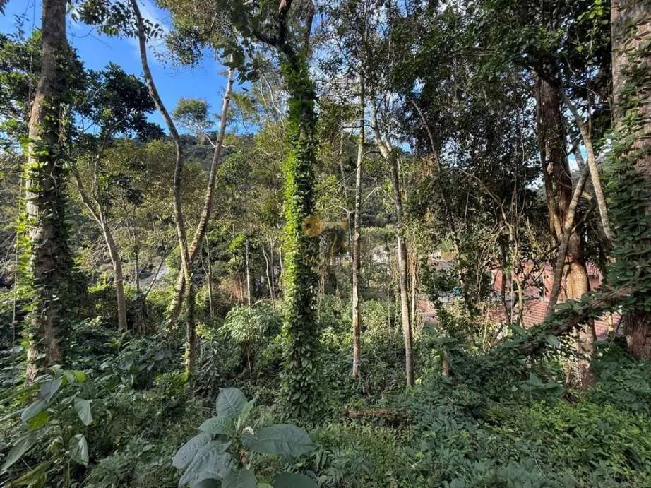 Imagem Terreno para Venda em Teresópolis / RJ no bairro Albuquerque