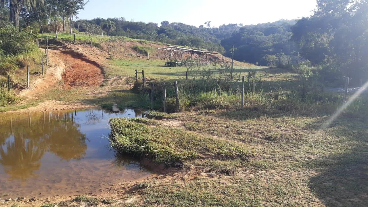 Imagem FAZENDA À VENDA - SÃO GONÇALO DO PARÁ 120 hectares de terra