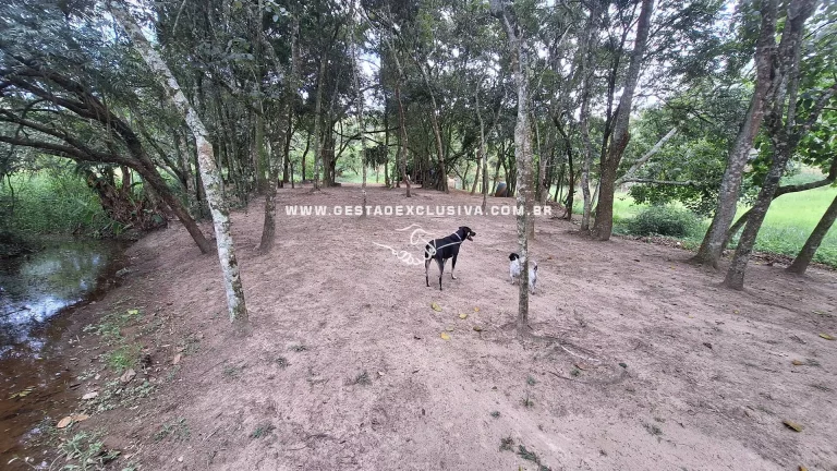 Imagem Sítio 20mil m² Documentado 4 Lagos Pomar Formado Morungaba/SP
