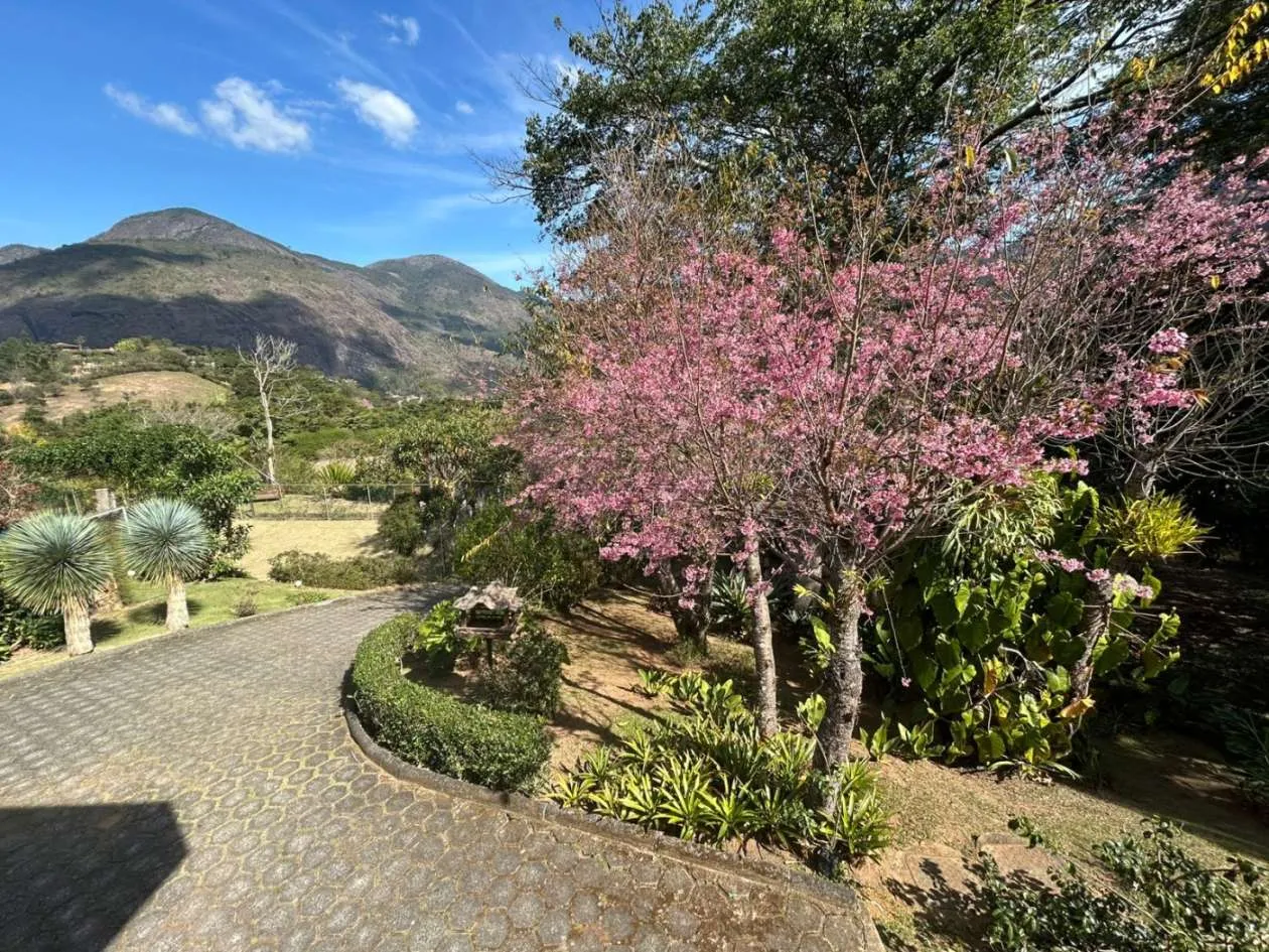 Imagem Casa em Condomínio para Venda em Petrópolis / RJ no bairro Araras
