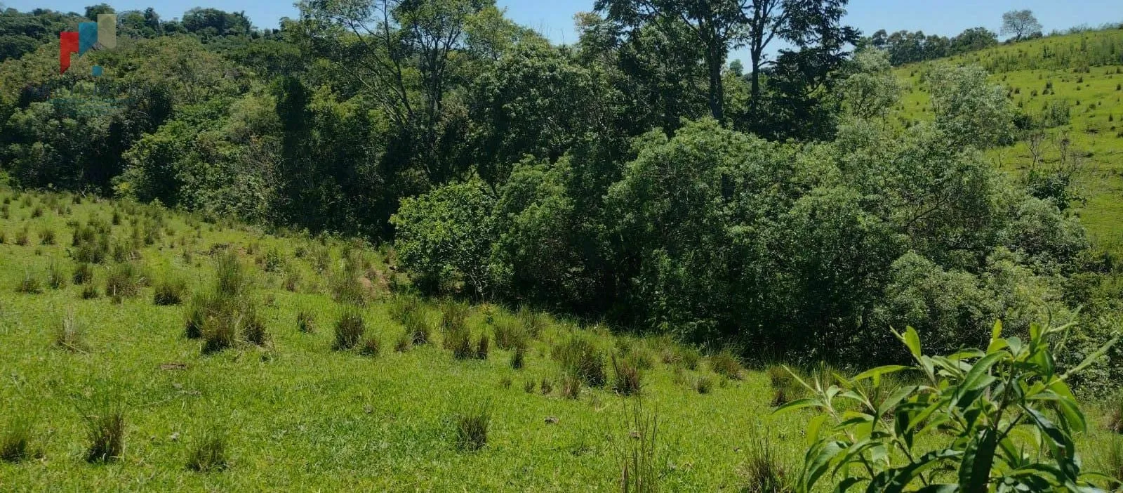 Imagem Sítio à venda no bairro Centro - Guareí/SP