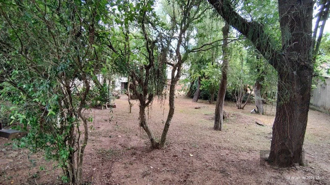 Imagem Terreno plano com 24,90m de frente, localizado no bairro Serraria.