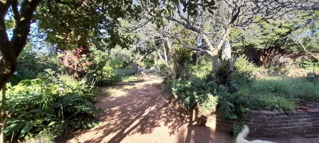 Imagem Terreno em Teresópolis