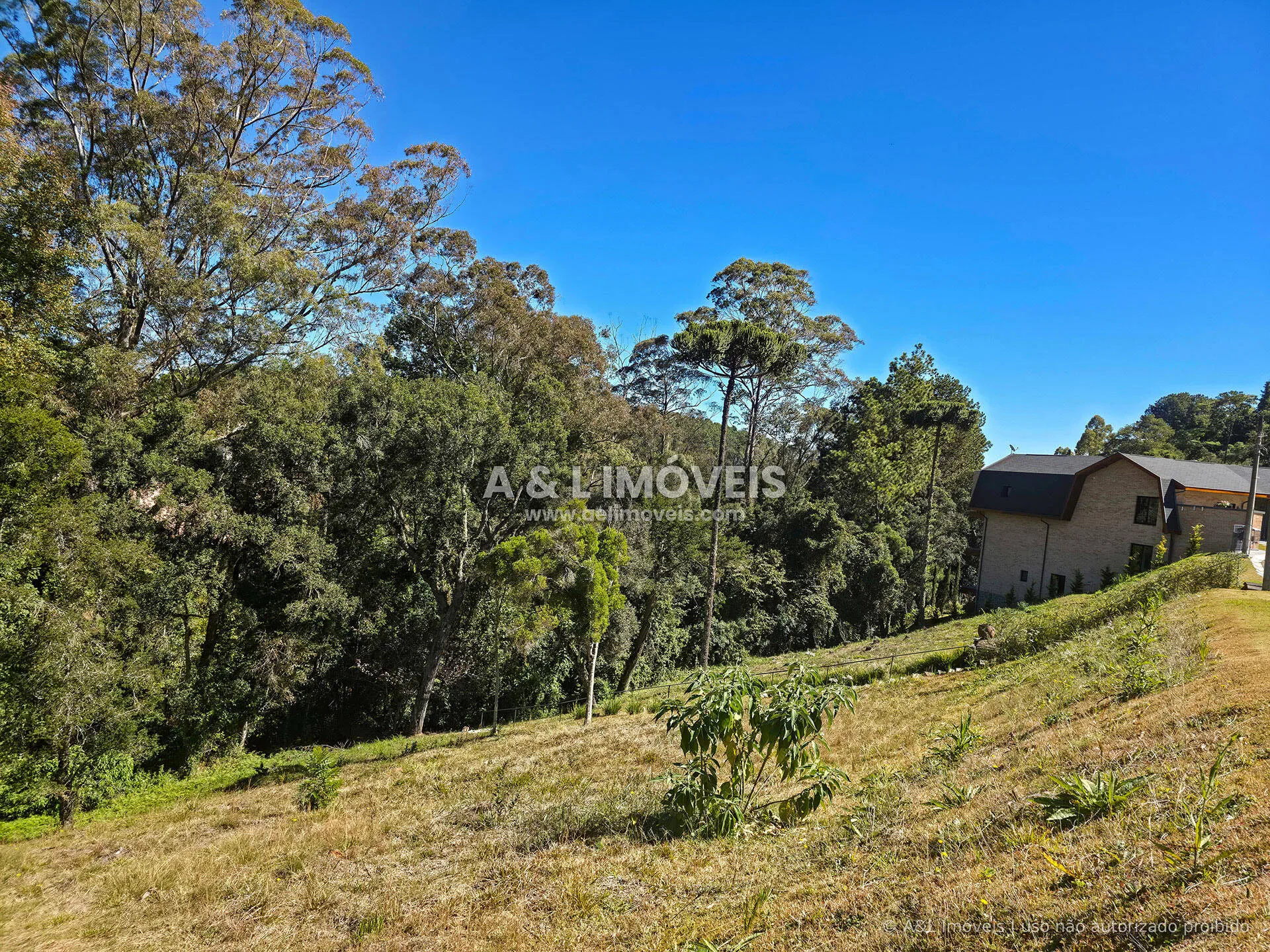 Imagem Lote à venda no Reserva Figueiredo | Campos do Jordão