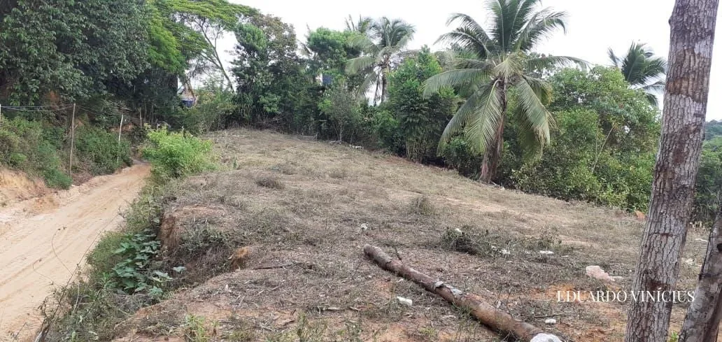 Imagem Terreno 6.400m² à venda - no Morro de São Paulo