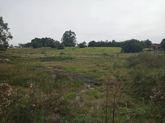 Imagem Área com 10.000m², com açudes, ótima localização, Águas Claras, Viamão