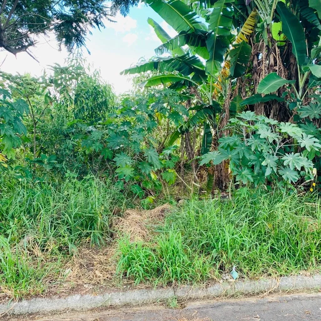 Imagem Terreno à venda 250M², Vitória Vale II, Pindamonhangaba - SP