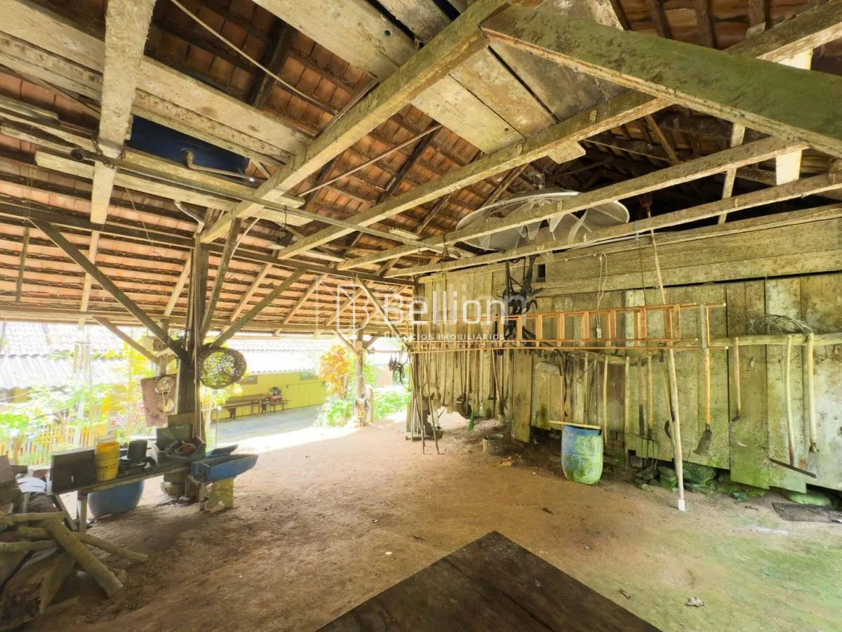Imagem Sítio com casa em madeira de lei e riqueza em água em Rio dos Cedros