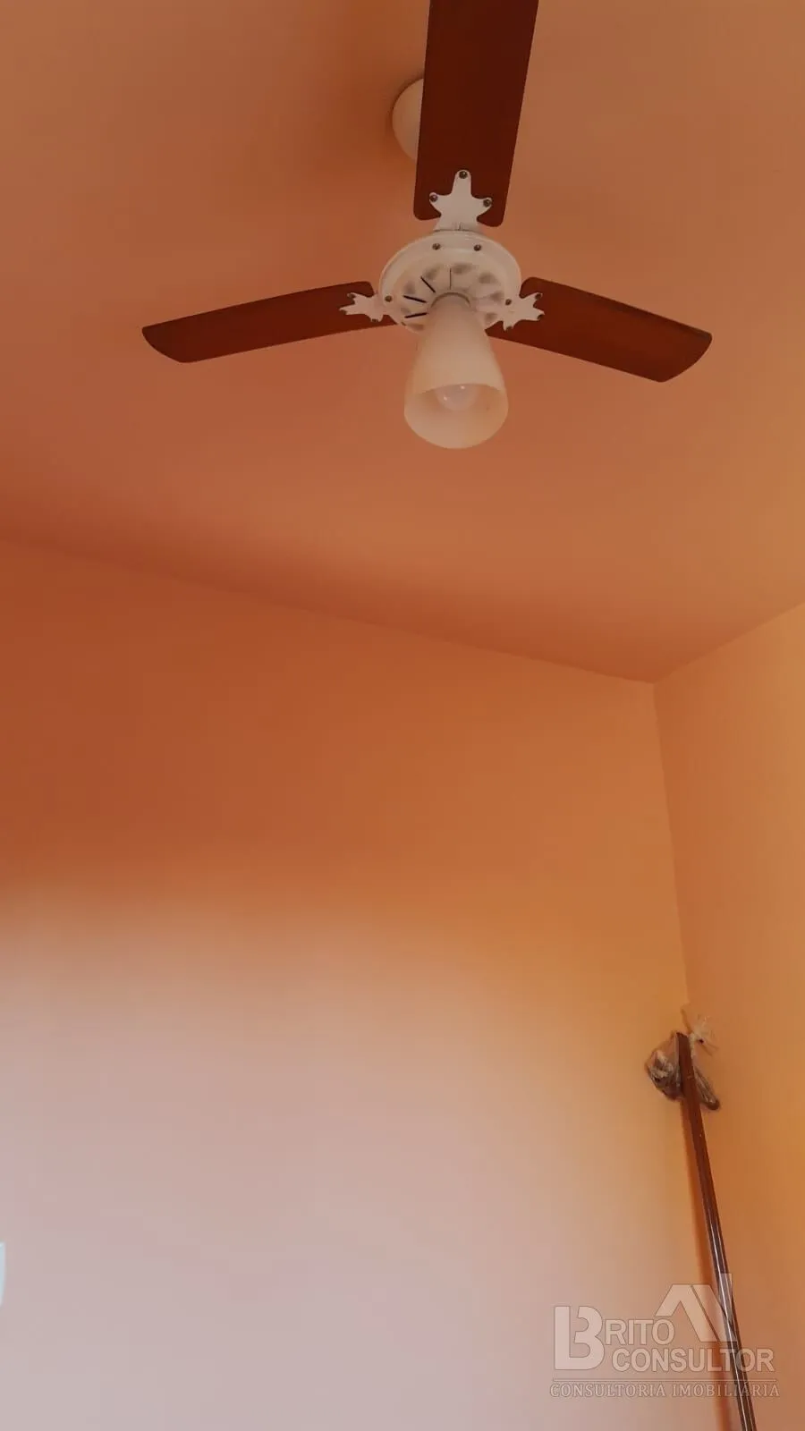 Imagem Casa com 2 Qts, Quintal, 3 Vagas ou mais, em Trindade, São Gonçalo/RJ