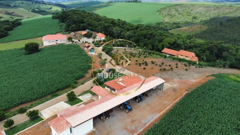 Imagem Fazenda, 3 Casas, 171 hectares, criação Gado Nelore e Lavoura, Sul de MG.