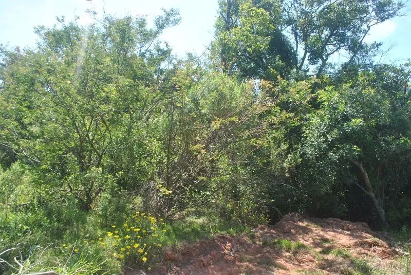 Imagem Terreno para Venda com 930m² no bairro Espírito Santo