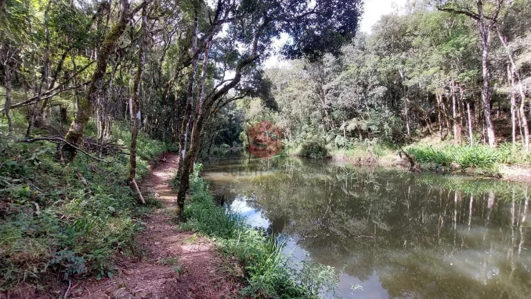 Imagem Chácara à venda em Campo Largo/PR