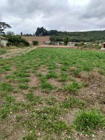 Foto do imóvel Terreno à venda 1000M², Granjas Rurais Reunidas São Judas Tadeu, Taubaté - SP