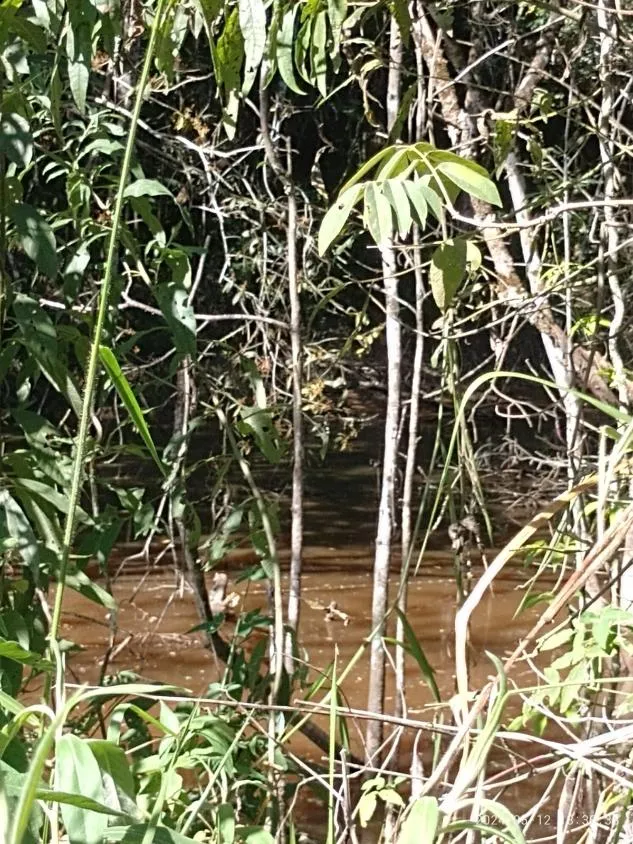 Imagem Ótima Oportunidade em Itaguara/MG: Terreno de 6 Hectares no Povoado Boa Vista