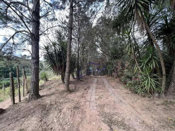 Imagem Excelente Área para Incorporação ou Chácara 18.455 m²