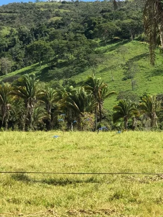 Imagem Fazenda à venda em Cocalzinho de Goiás/GO