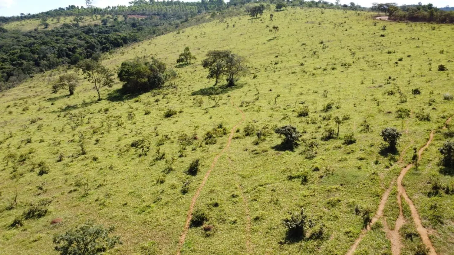 Imagem Excelente terreno rural com área de 10 hectares a venda em PASSA TEMPO/MG