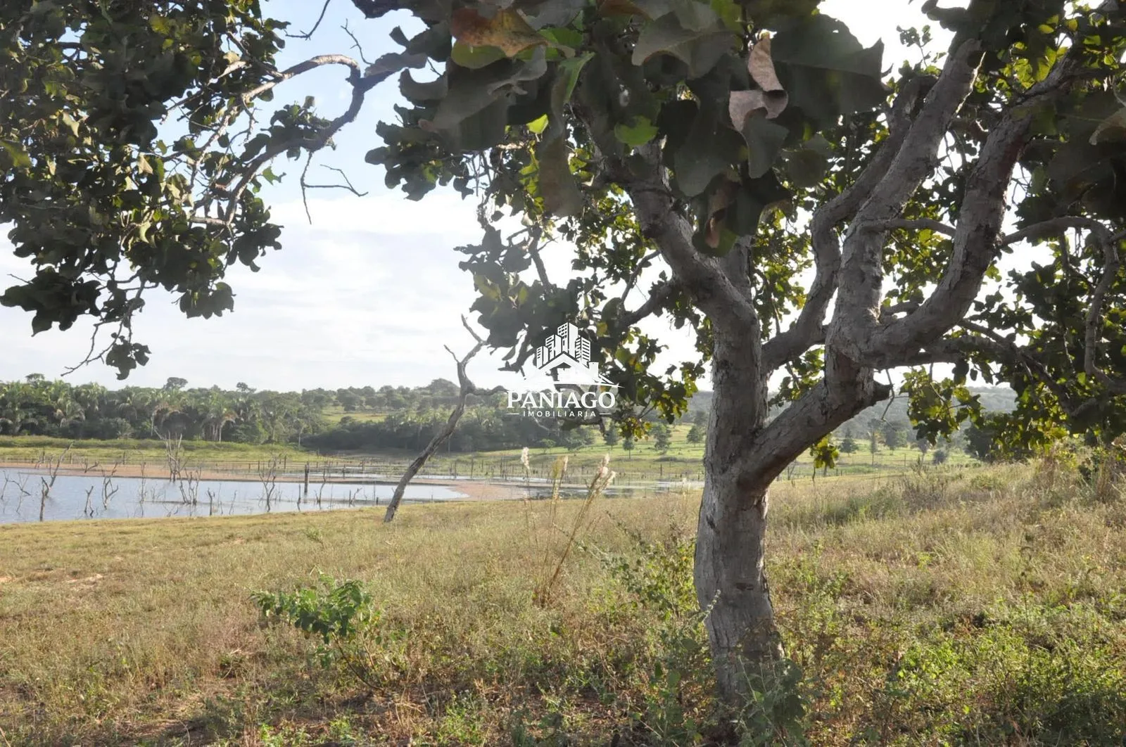 Imagem Chácara de 18 Hectares com Beira de Lago à Venda OPORTUNIDADE