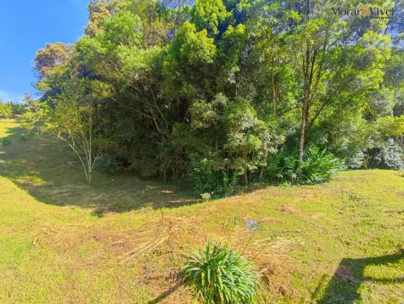 Imagem Chácara para Venda em Piraquara, Loteamento Chácara Chantecler, 2 dormitórios, 1 banheiro