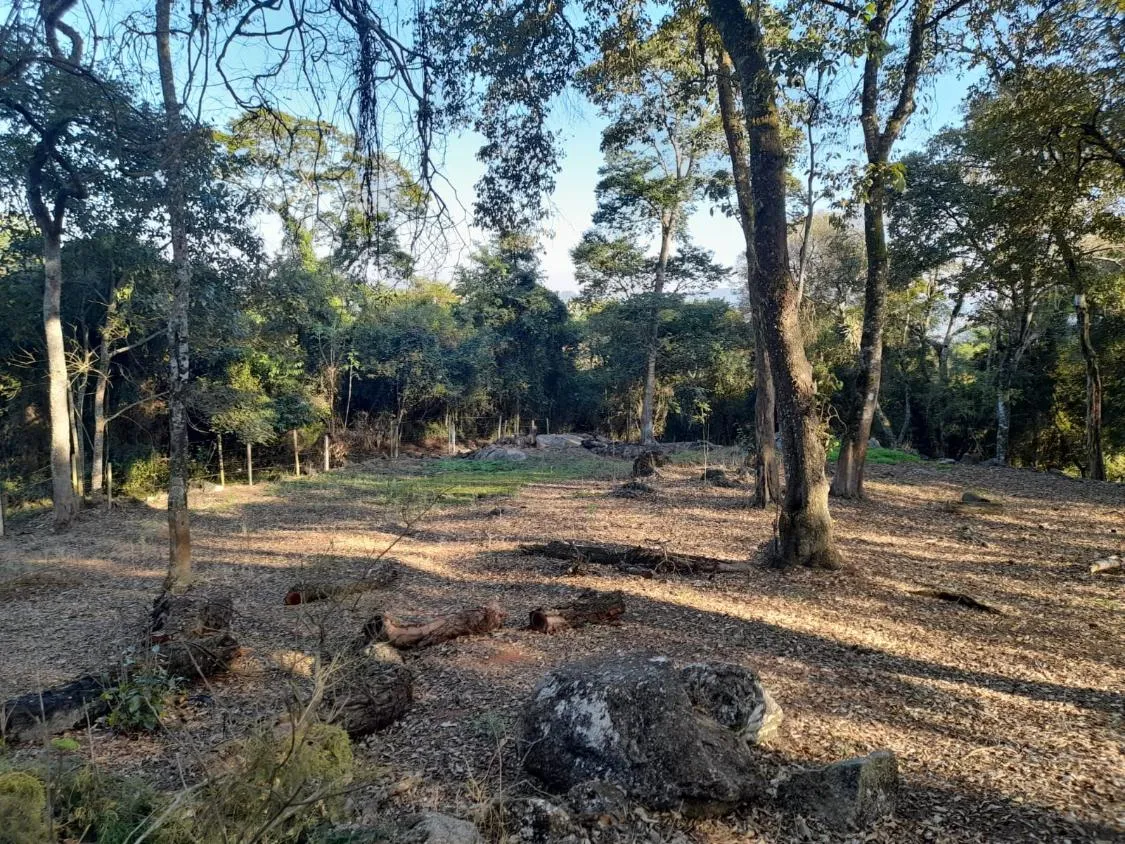 Imagem TERRENO EM CONDOMÍNIO -RESSACA- IBIUNA
