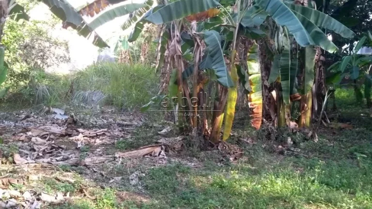Imagem Terreno com 1.630 metros quadrados ( medida 36 X 45 ) aproximadamente. Terreno em bico, com pequeno ...