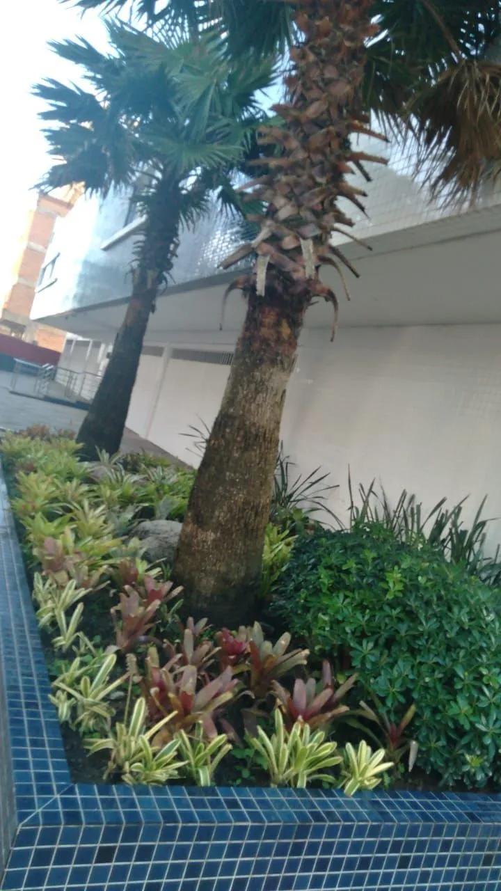 Imagem Apartamento em Praia de Arroio Teixeira (Arroio Teixeira)