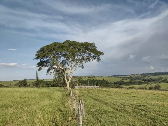 Sítio a VENDA, Avaí/SP, Área Rural, 10 alqueires em Área Rural