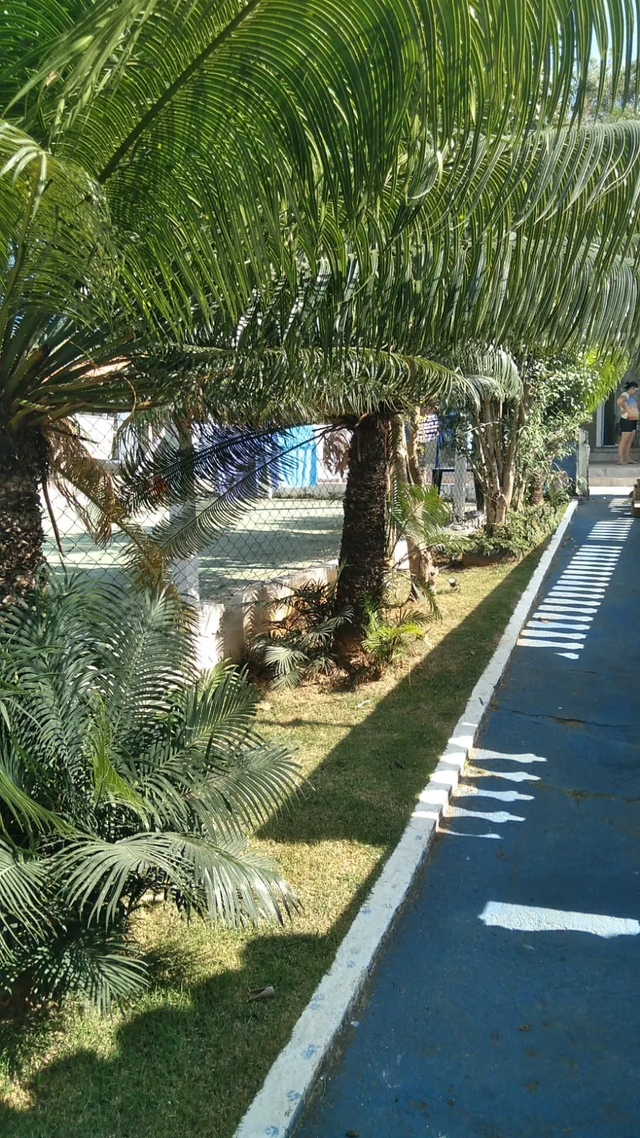 Imagem Chacara com 3 Suítes Colinas 1 Araçoiaba da Serra / SP