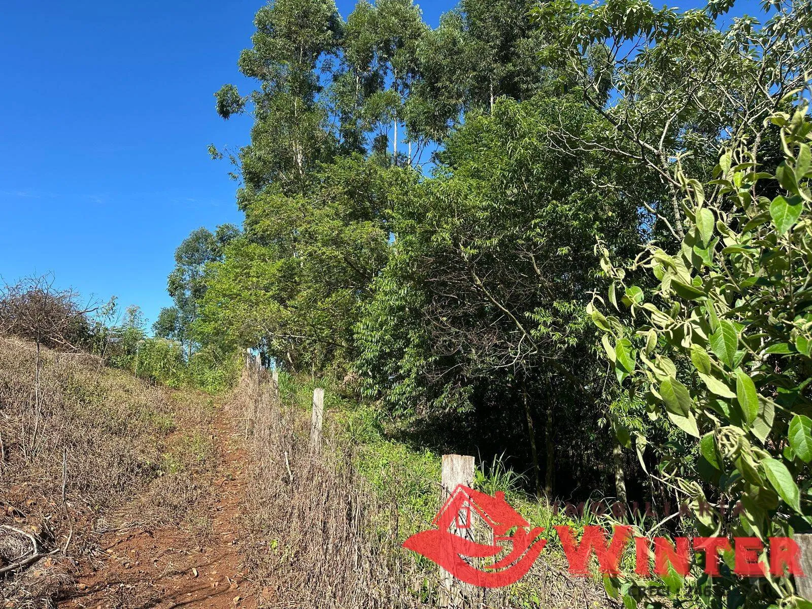 Imagem Área de terras com 3.000m² próprio para um chácara.