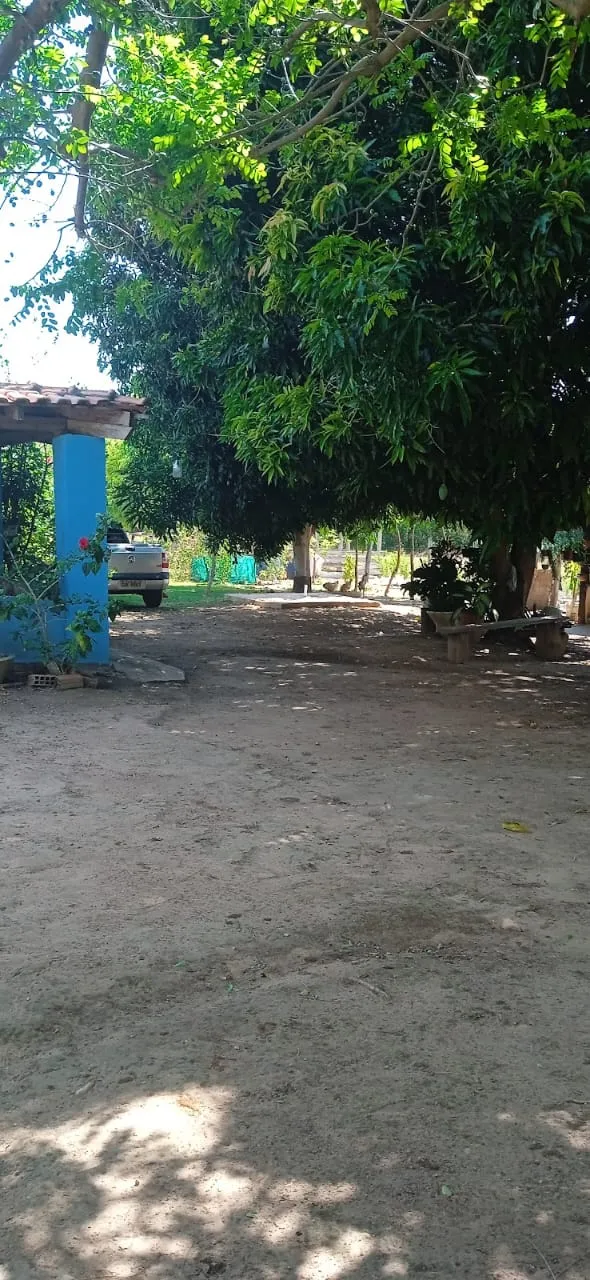 Imagem Sítio com 3 quartos, 10 mil m² em Cuiabá, Mato Grosso