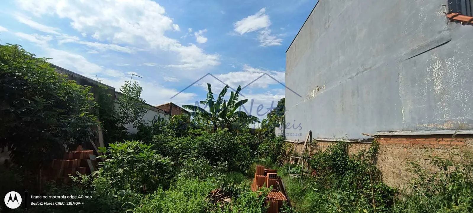 Imagem Terreno Padrão