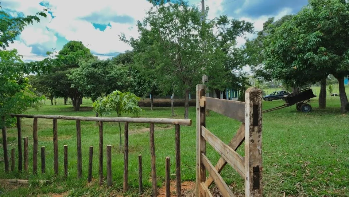 Imagem FAZENDINHA À VENDA - CURVELO (MG) 171 hectares de terra