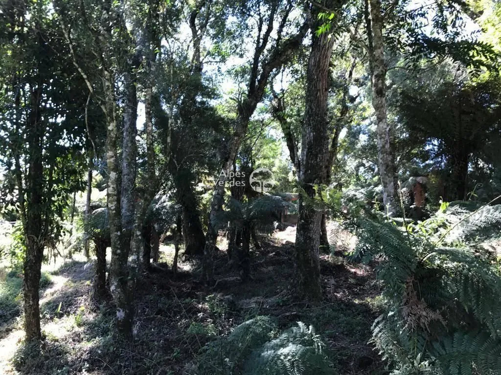 Imagem Vende-se Terreno em Canela a cerca de 3 minutos da Catedral de Pedra