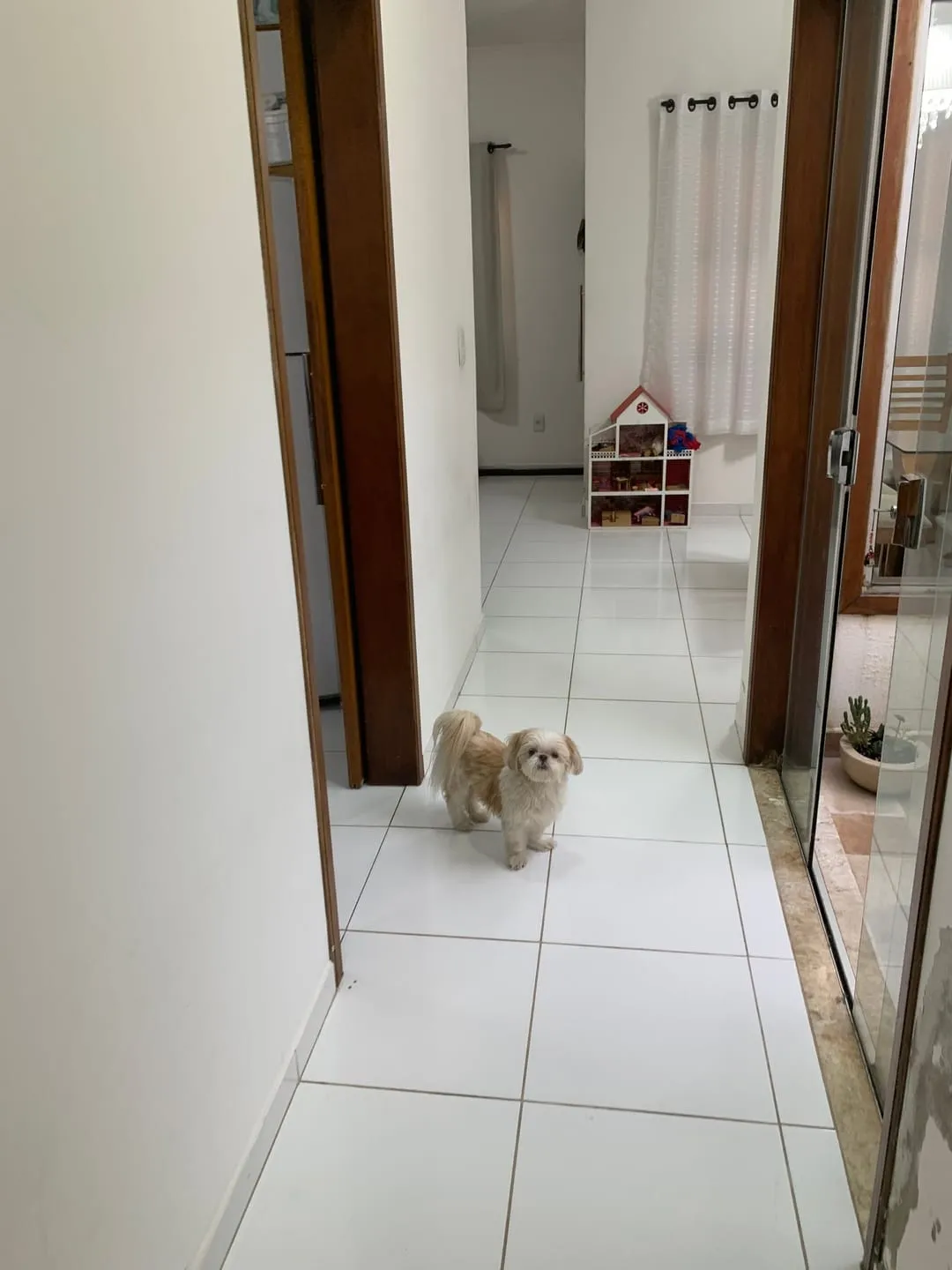 Imagem Casa à venda 2 Quartos, 1 Suite, 2 Vagas, 200M², Água Preta, Pindamonhangaba - SP