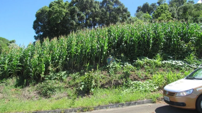 Imagem Terreno para Venda em Concórdia, Primavera