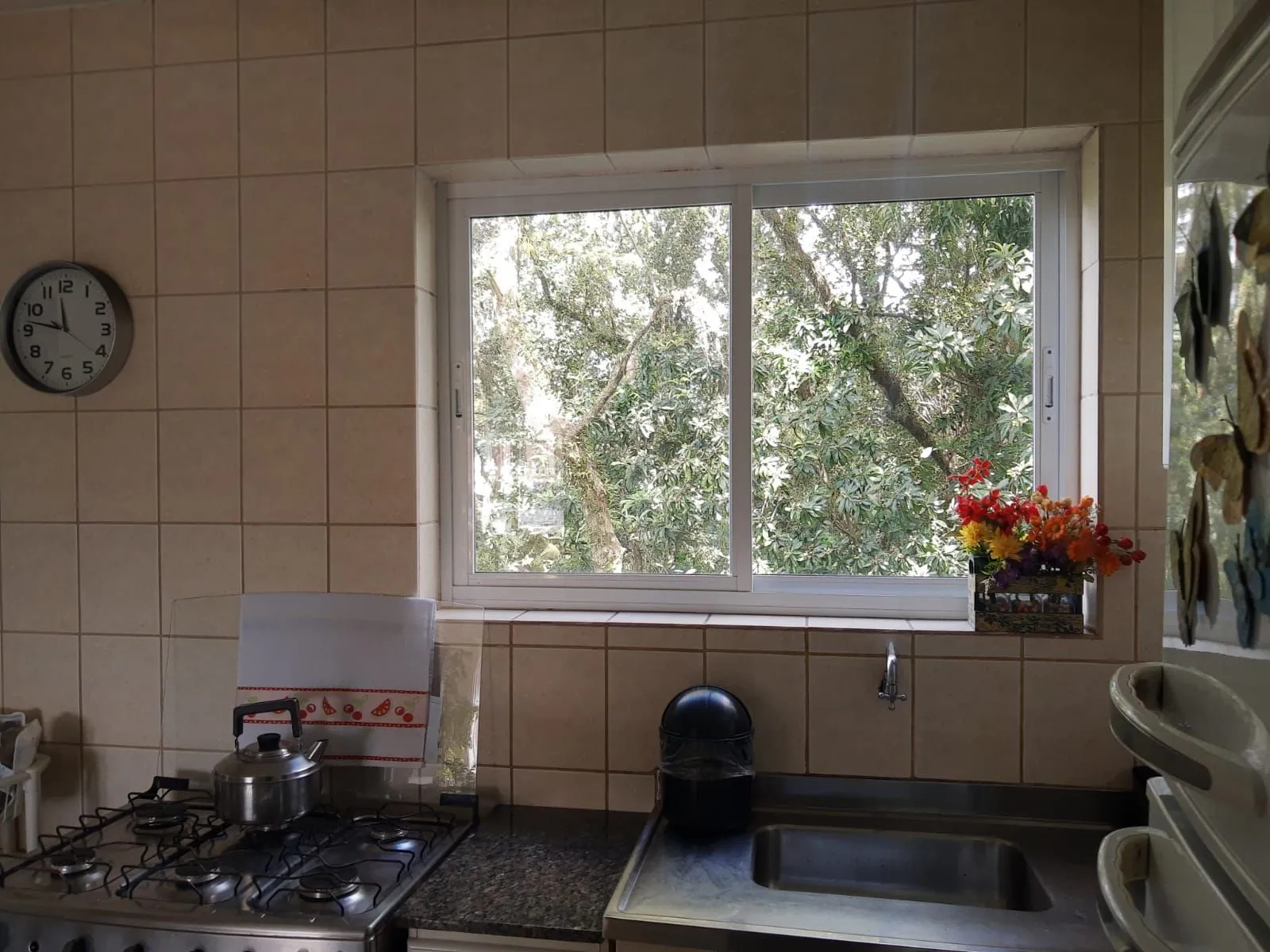 Imagem Apartamento em Teresópolis