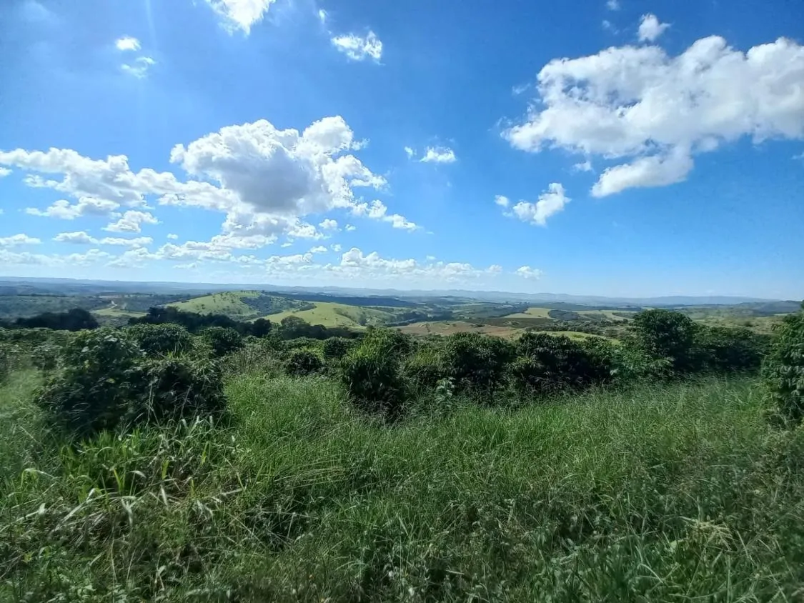 Imagem FAZENDA À VENDA - SANTO ANTÔNIO DO AMPARO (MG) 948 hectares de área total
